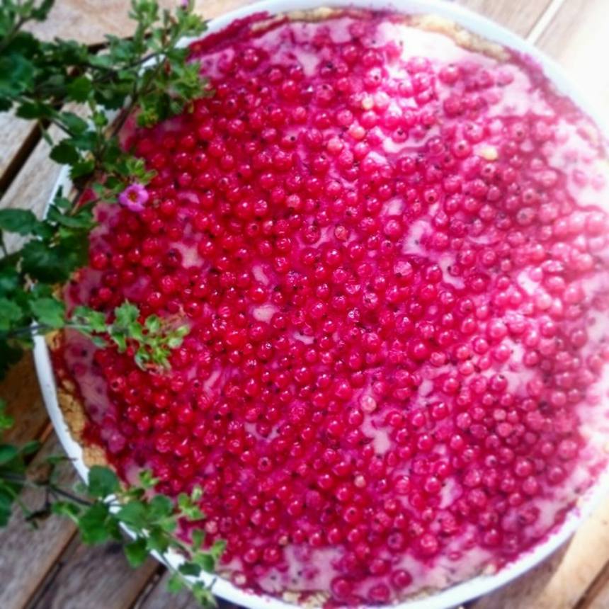 Ribiselkuchen2