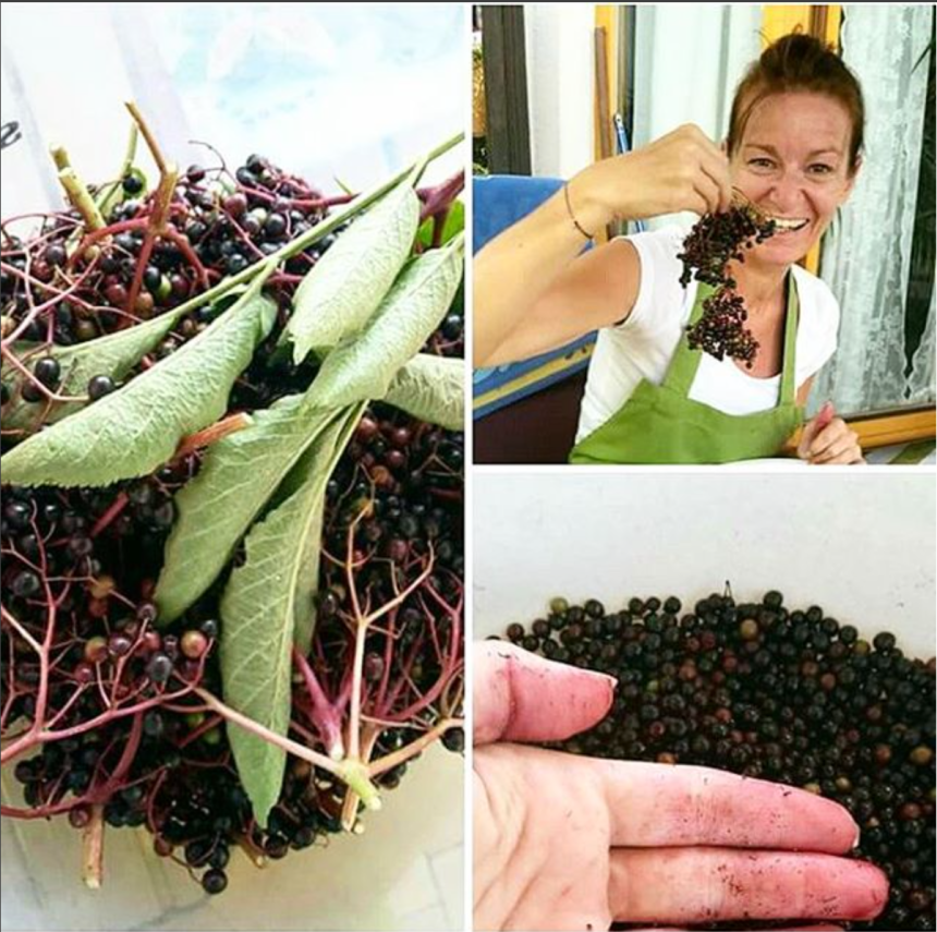 Bildschirmfoto 2016-08-07 um 17.35.40