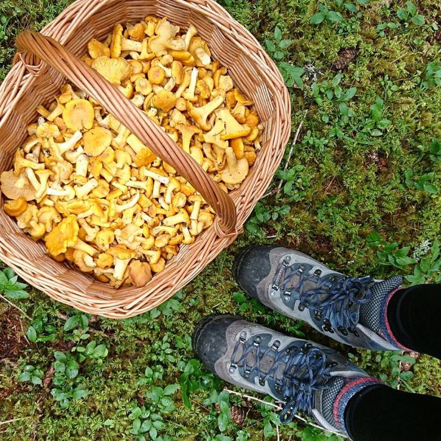 20292689_10213842533154817_1477804220286012129_n