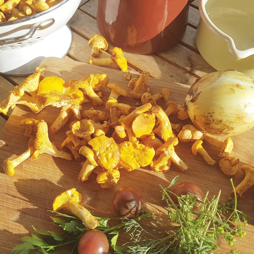 IMG_20170728_182936_403